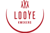 Looye Kwekers